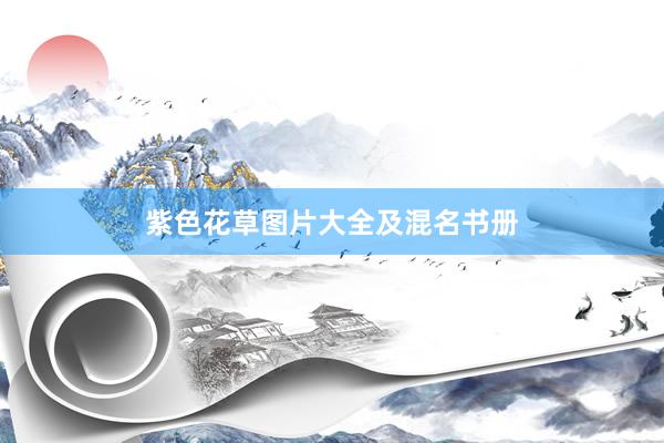 紫色花草图片大全及混名书册