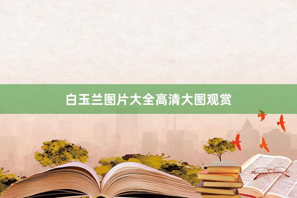 白玉兰图片大全高清大图观赏