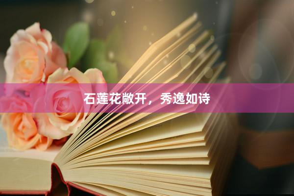 石莲花敞开，秀逸如诗