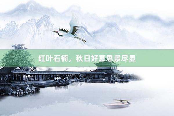 红叶石楠，秋日好意思景尽显